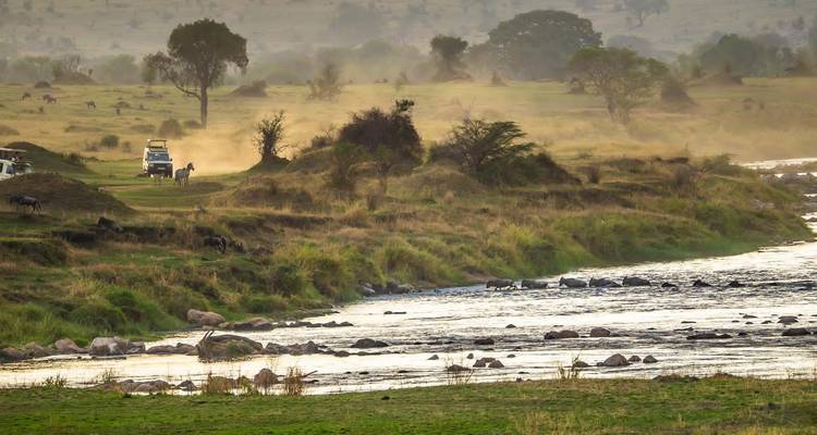 1 jour Parc national de Nyerere - Eatl Tour and Safari Group  6