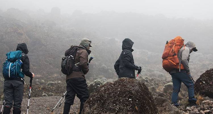6 Days Mount Kilimanjaro Trekking Marangu Route. - Hazzes Adventure 6