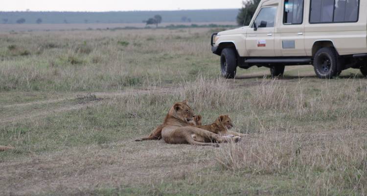 9 days Magical Kenya Wildlife Highlights Safari - Primate World Safaris (U) Ltd 2