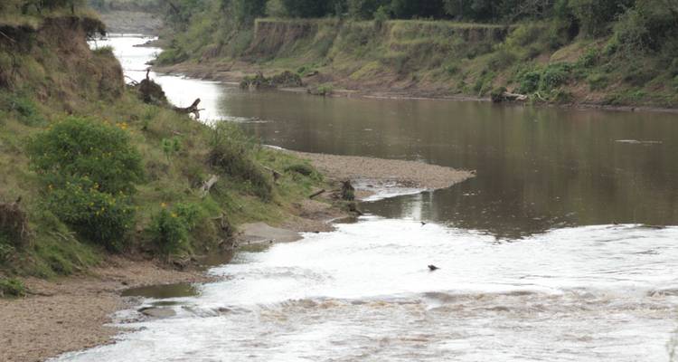 9 days Magical Kenya Wildlife Highlights Safari - Primate World Safaris (U) Ltd 7