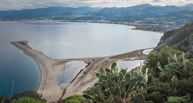 Malerische Küstenlandschaft mit Kakteenpflanzen und einem Gewässer.