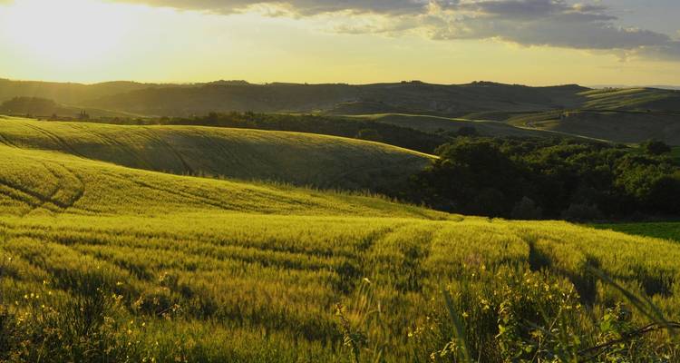 18 Days Unmissable Italy Tour. - Remaz Tours GmbH 1