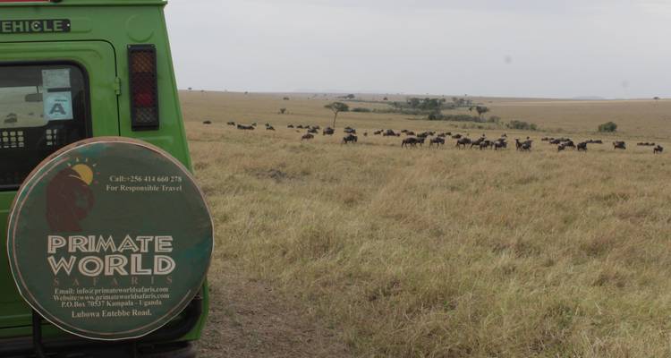 8 days Samburu & Masai Mara Safari - Primate World Safaris (U) Ltd 4