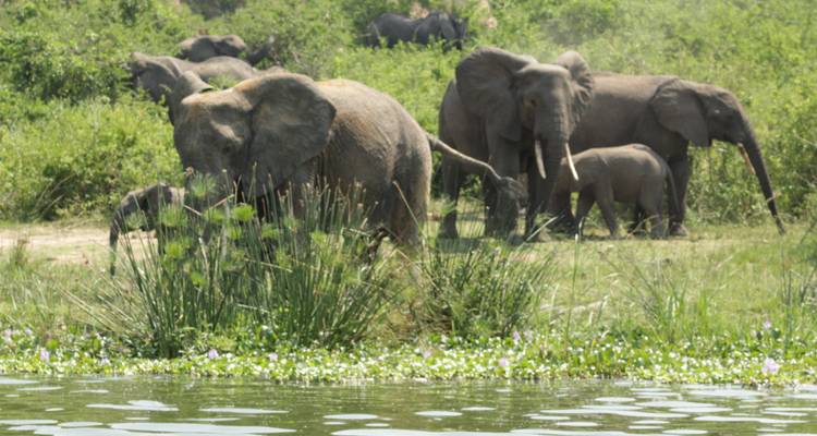 4 jours de safari à Nakuru et au Masai Mara au Kenya - Primate World Safaris (U) Ltd 1
