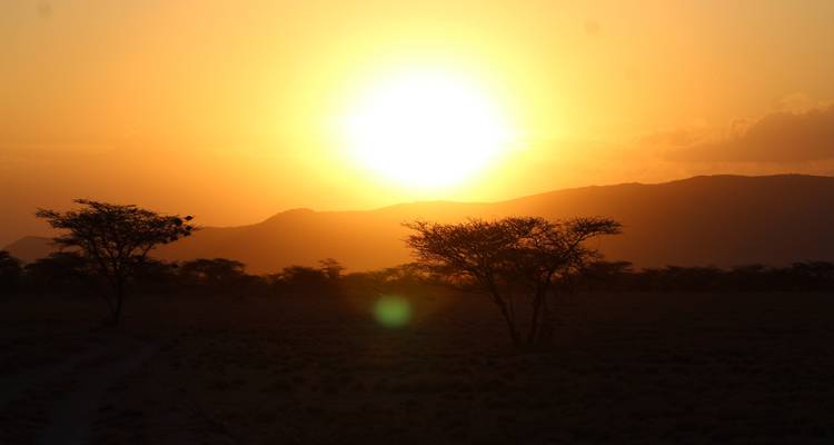 7 days Masai Mara Family Adventure - Primate World Safaris (U) Ltd 2