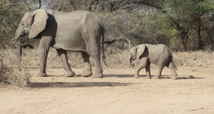 7 days Masai Mara Family Adventure - Primate World Safaris (U) Ltd 6