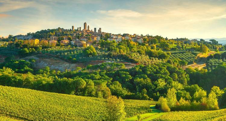 5 Day Tuscan Food & Wine Tour Package - Tourist Journey 4
