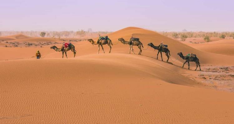 Savor of Morocco - Morocco Luxury Tour 8