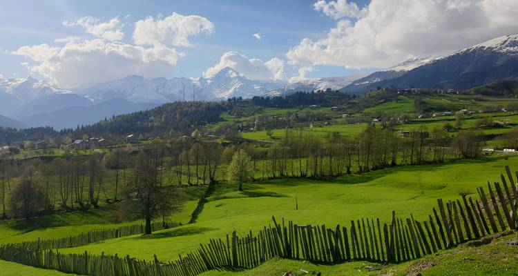 Cuento de Georgia - Around Georgia 7