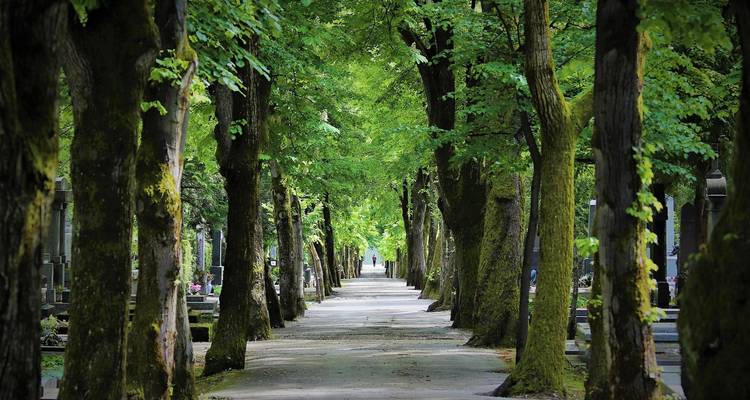 9 días Zagreb, Sarajevo, Dubrovnik, Split, Opatija y Liubliana - Remaz Tours GmbH 6