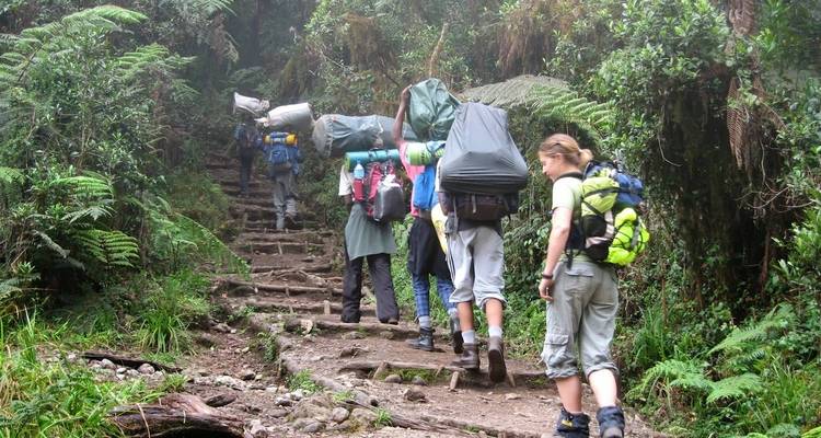 Ascenso al Kilimanjaro por la ruta Marangu 8 días - Authentic Africa 7