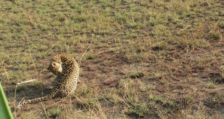 7 days Ultimate Northern Tanzania Safari Experience - Primate World Safaris (U) Ltd 4