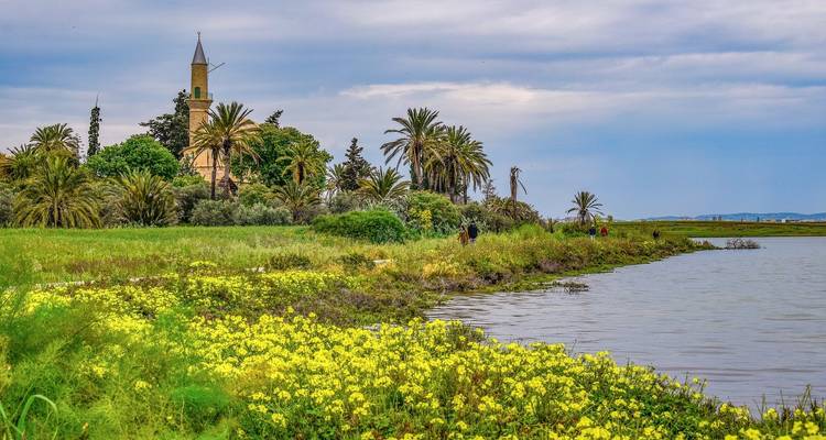 7 jours d'escapade à Chypre, de Larnaca à Limassol. - Remaz Tours GmbH 4