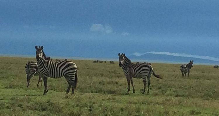 Aventure en camping en Tanzanie - Pure African Expeditions 2