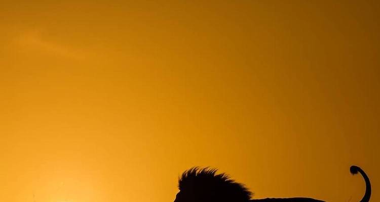 Aventure en camping en Tanzanie - Pure African Expeditions 6