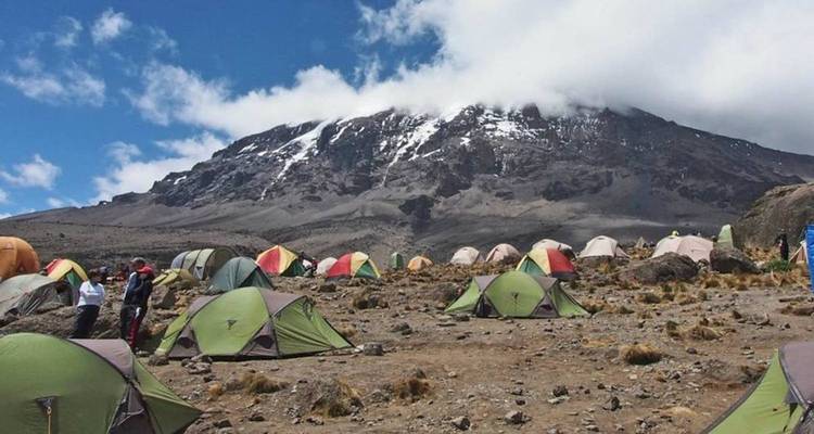 Ascension du Kilimandjaro par la voie de Rongai - 9 jours - Pure African Expeditions 7