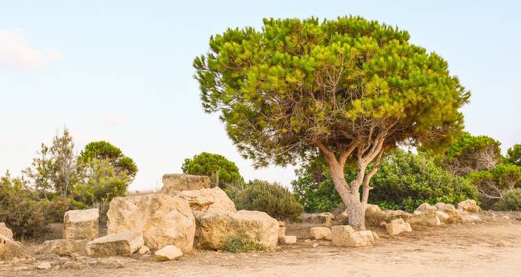 5 Days Tour in Paphos. - Remaz Tours GmbH 4