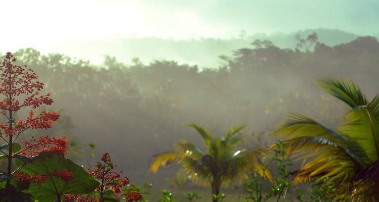 Ultimate Guyana Nature Experience 14 Days/13 Nights - Across Caribbean Excursions  4