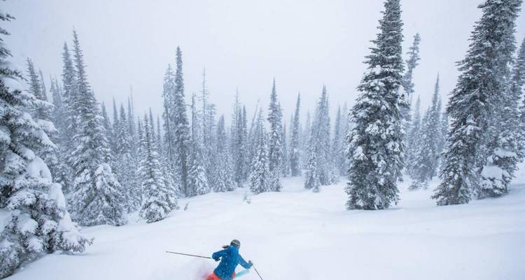 Esquí en Columbia Británica: Estación de Sun Peaks - Landsby 8