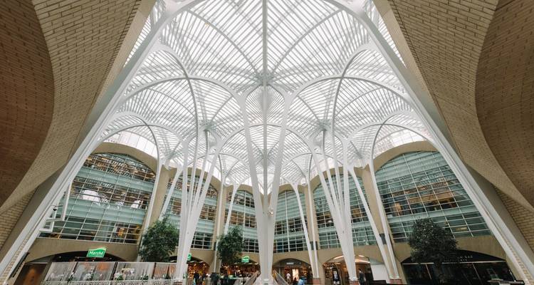 Estancia en ciudades del este de Canadá: Toronto y Montreal - Landsby 7