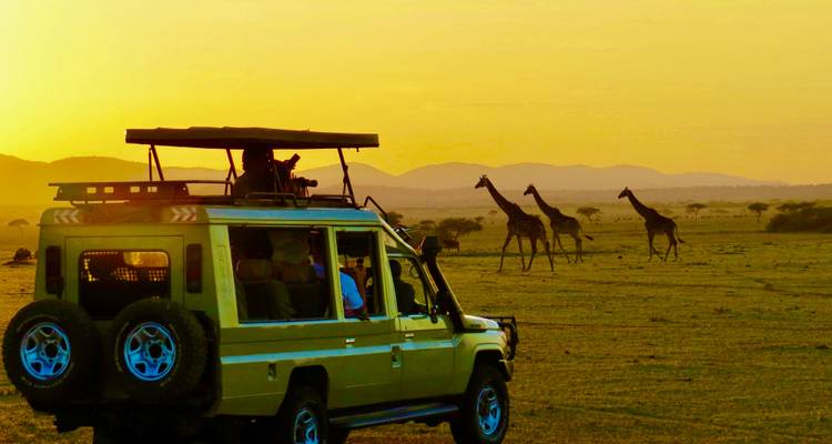 Safari privado inolvidable de 6 días por Kenia - Professional Safari Africa 8