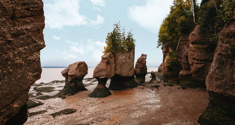 Merveilles de la baie de Fundy - Omega Tours 4