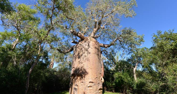 Safari en groupe à Madagascar | Circuit classique - HT Agency Tours 6