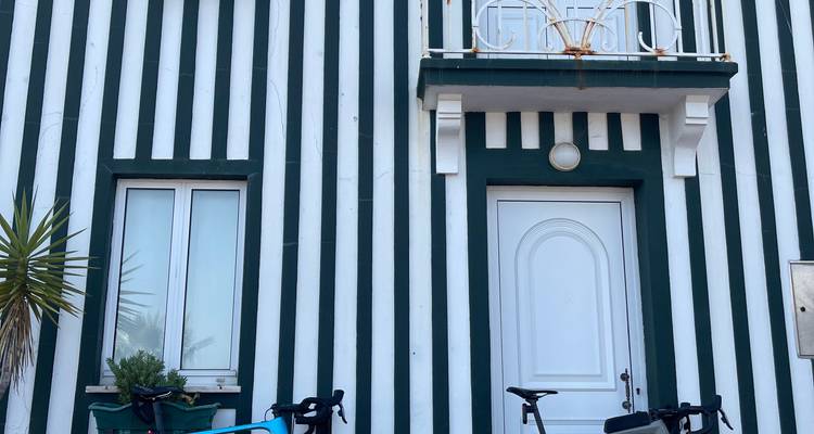Porto to Lisbon Bike Tour Self-Guided - Pedalquest Tours 2