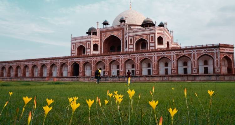 Excursión de 9 días a Delhi, Agra, Jaipur, Ranthambore y Amritsar - Excursión al triángulo de oro con Ranthambore y Amritsar - Joyful Holidays 7