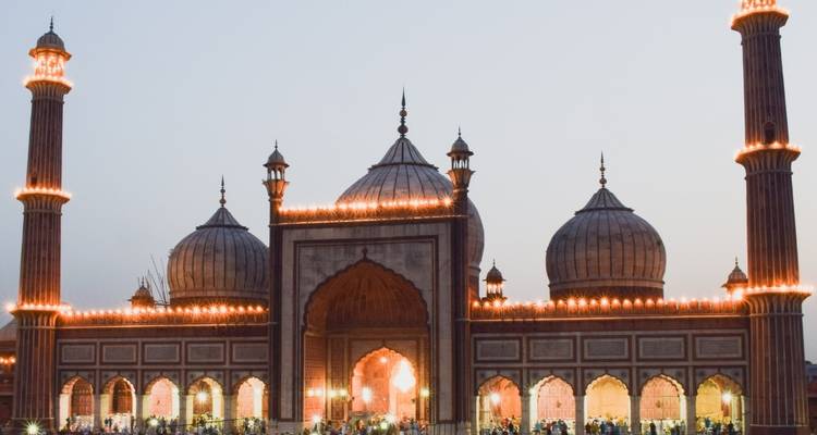 Excursión de 9 días a Delhi, Agra, Jaipur, Ranthambore y Amritsar - Excursión al triángulo de oro con Ranthambore y Amritsar - Joyful Holidays 8