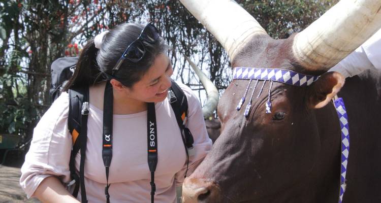 Safari de 8 días con Primates en Ruanda - Primate World Safaris (U) Ltd 6