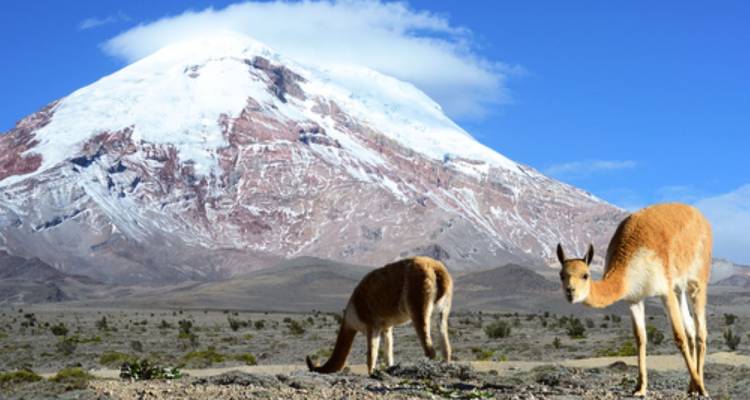 Ecuador Active - avenTOURa 3