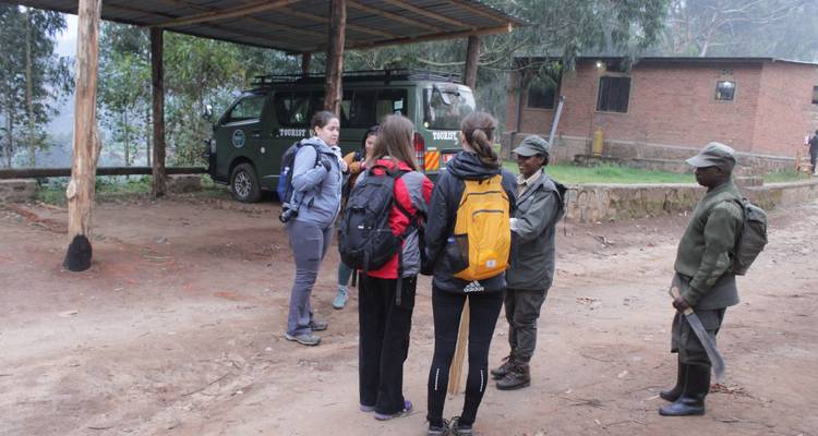 10 days Classic Rwanda Safari - Primate World Safaris (U) Ltd 1