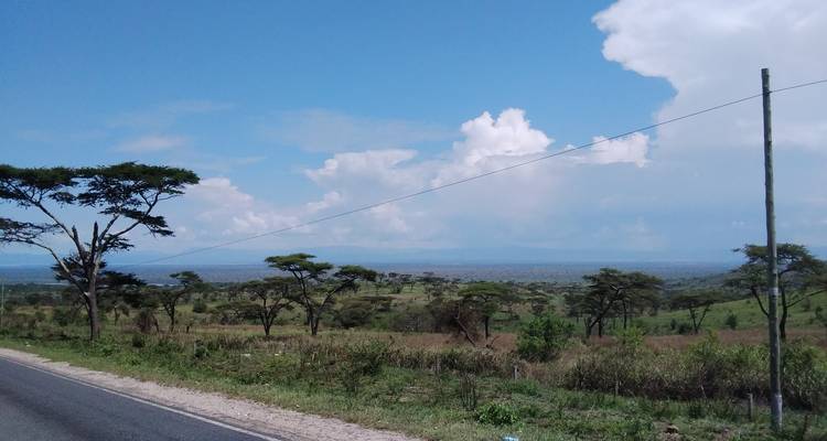 9 days Wildlife & Gorilla Trekking Holiday - Primate World Safaris (U) Ltd 6
