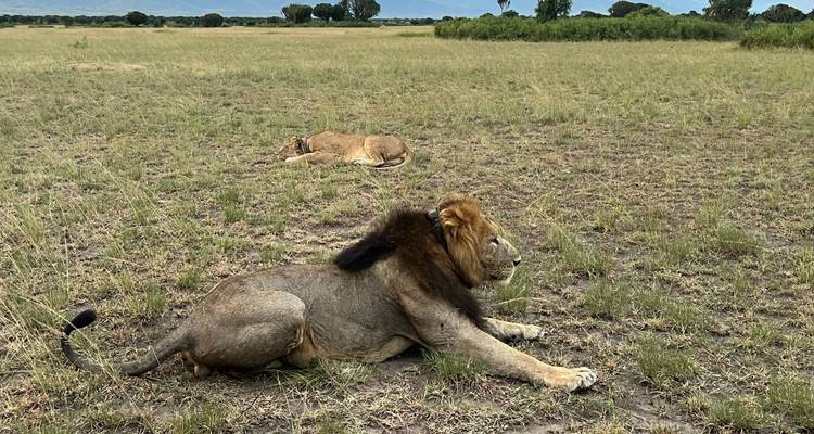 8 days Uganda & Rwanda Activity Holiday - Primate World Safaris (U) Ltd 10