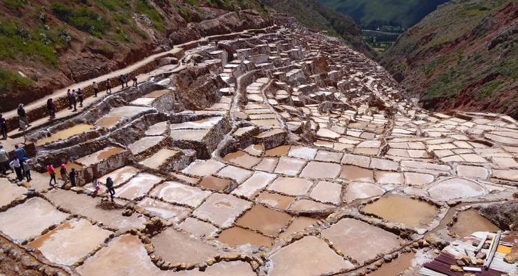 Highlights Between Machu Picchu and the Amazon Rainforest - DIAMIR Erlebnisreisen 8