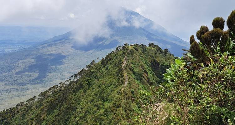 The Volcanoes of the Virunga Mountains, Gorillas and along Lake Kivu - DIAMIR Erlebnisreisen 2
