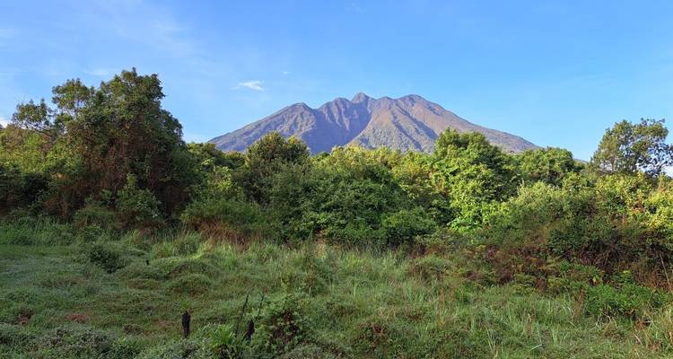 The Volcanoes of the Virunga Mountains, Gorillas and along Lake Kivu - DIAMIR Erlebnisreisen 3