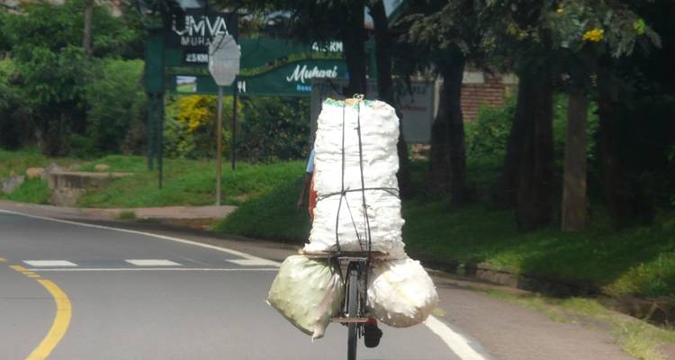 The Volcanoes of the Virunga Mountains, Gorillas and along Lake Kivu - DIAMIR Erlebnisreisen 4