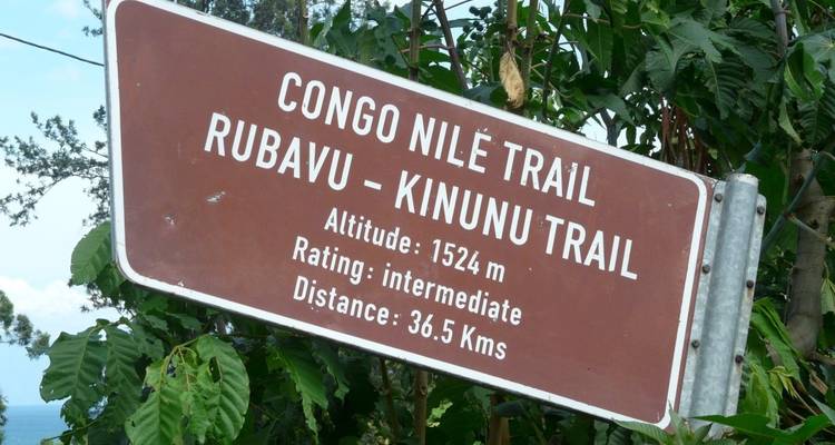 The Volcanoes of the Virunga Mountains, Gorillas and along Lake Kivu - DIAMIR Erlebnisreisen 8