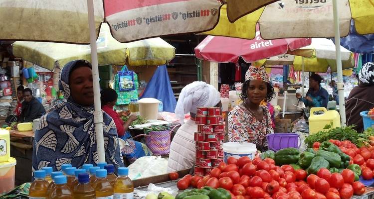 The Volcanoes of the Virunga Mountains, Gorillas and along Lake Kivu - DIAMIR Erlebnisreisen 10