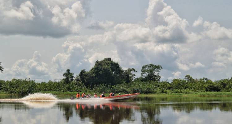 Paraíso animal entre la selva y el mar - DIAMIR Erlebnisreisen 2