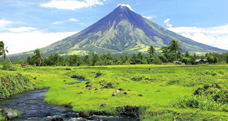 Tiburones ballena, volcanes y aventuras en islas - DIAMIR Erlebnisreisen 8