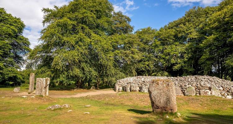 D'anciens menhirs et un cairn se dressent sous des arbres luxuriants aux cairns de Clava.