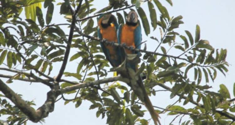 Ecuador Up Close - avenTOURa 8