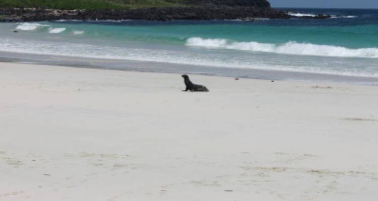 Island Hopping Galápagos - avenTOURa 1