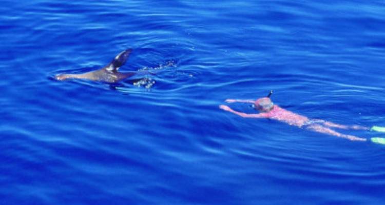 Island Hopping Galápagos - avenTOURa 2