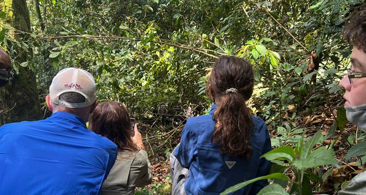 20 días de vacaciones en Uganda y Ruanda - Primate World Safaris (U) Ltd 3