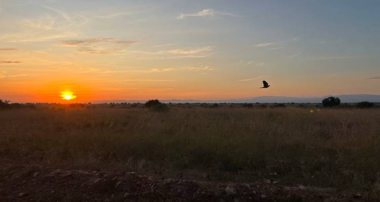 20 días de vacaciones en Uganda y Ruanda - Primate World Safaris (U) Ltd 6