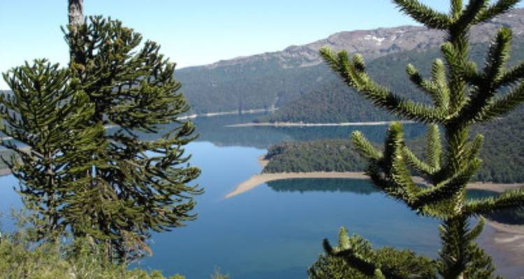 Rental Car Tour Araucania and Lake District - avenTOURa 1